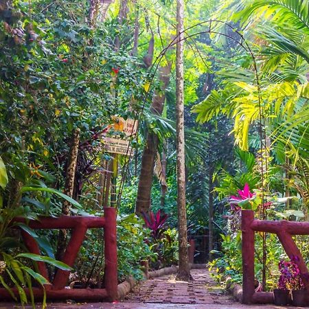 Maitreya Beach Resort Diveāgar エクステリア 写真