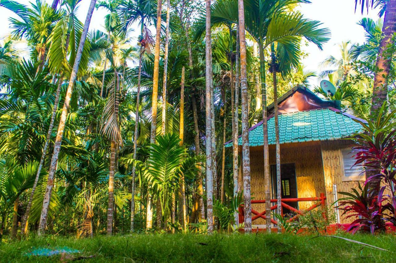 Maitreya Beach Resort Diveāgar エクステリア 写真
