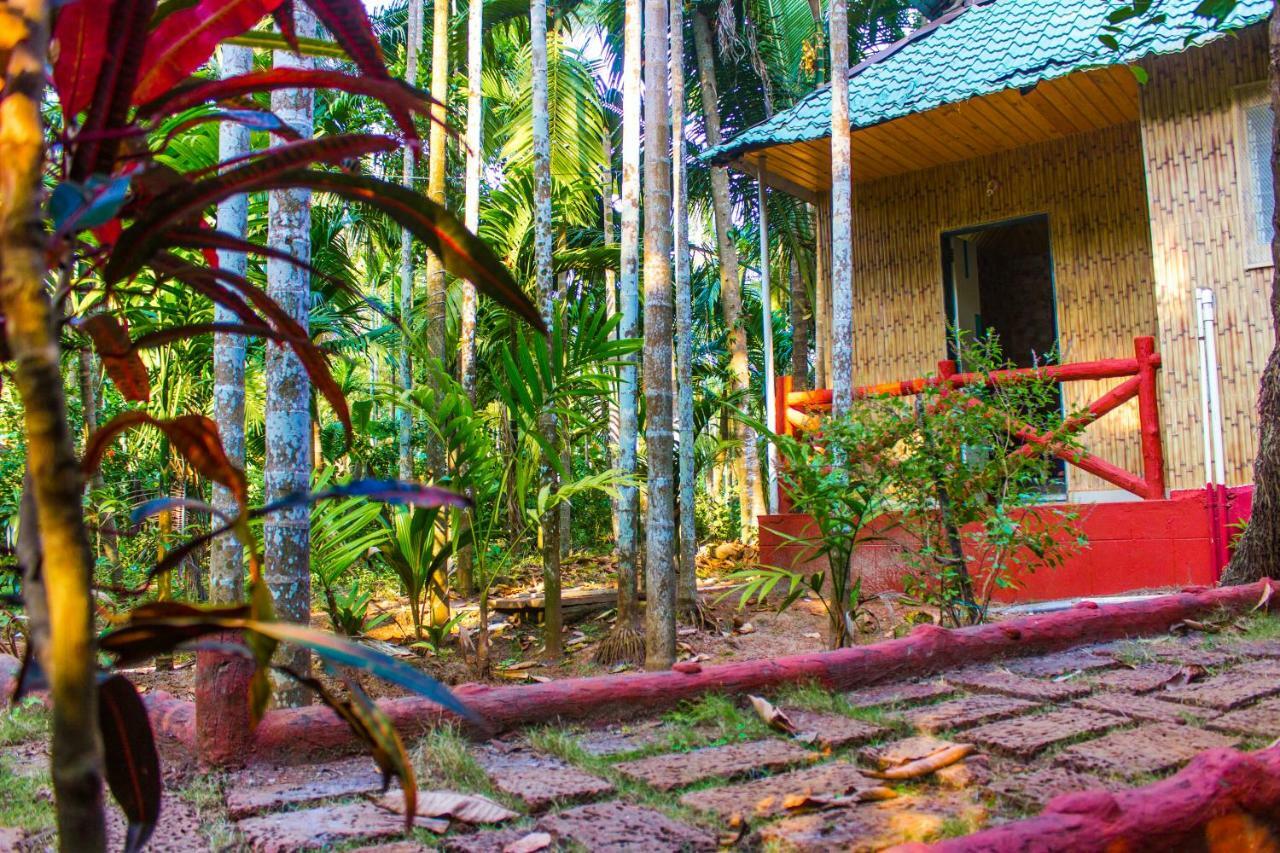Maitreya Beach Resort Diveāgar エクステリア 写真