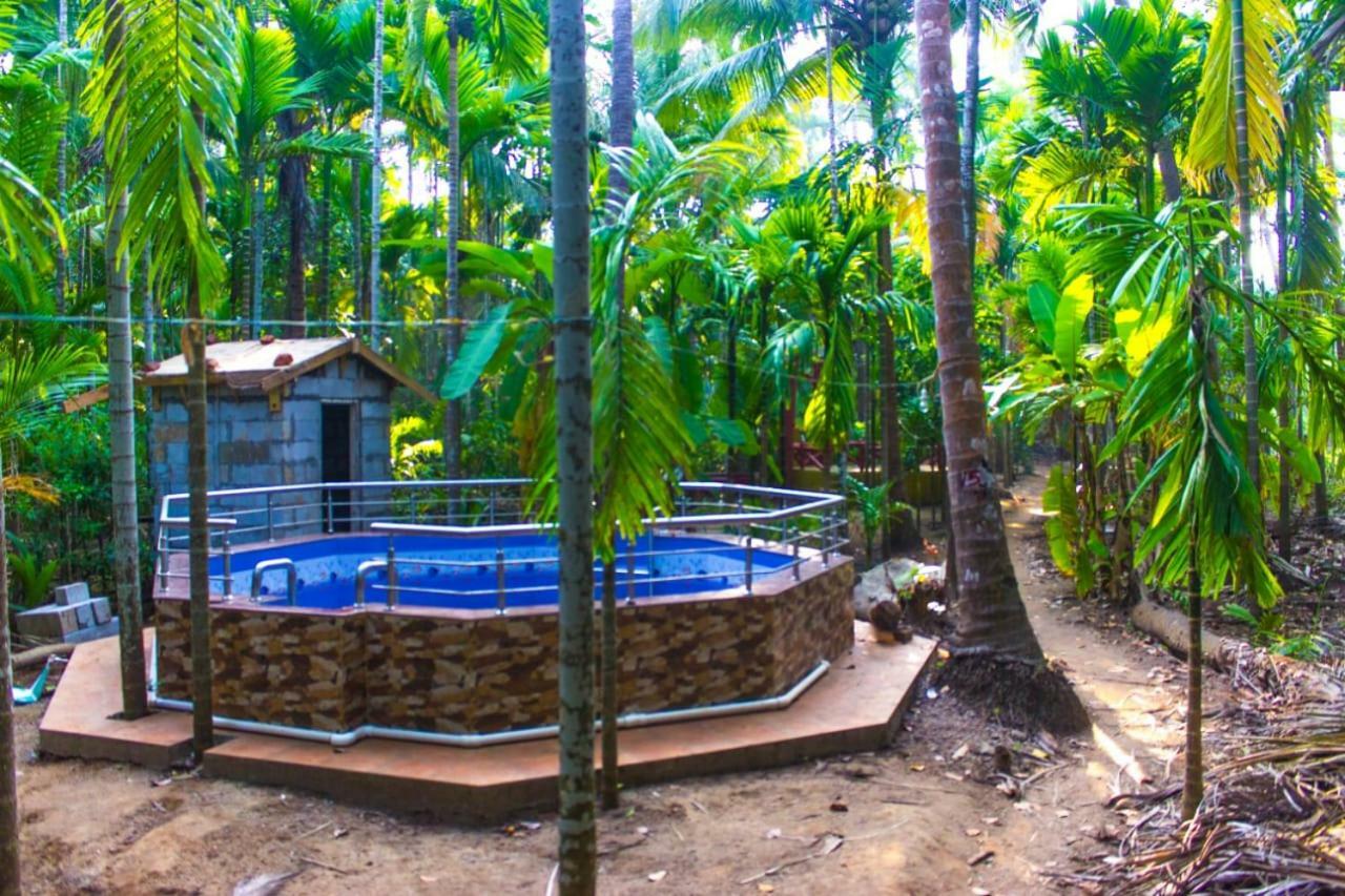 Maitreya Beach Resort Diveāgar エクステリア 写真
